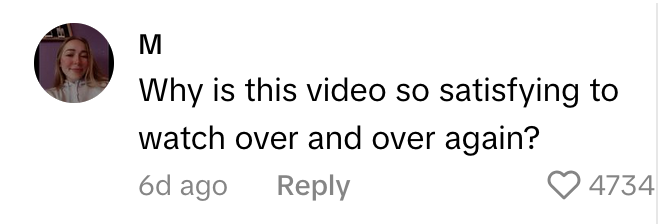 TikTok comment